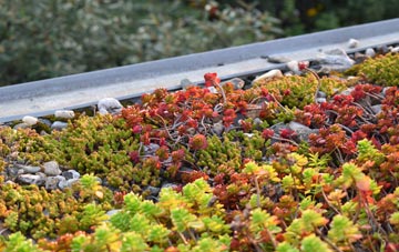 the cost of Oak Hill green roof installation