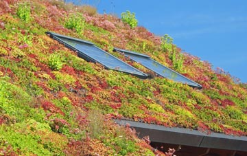Oak Hill living roof systems
